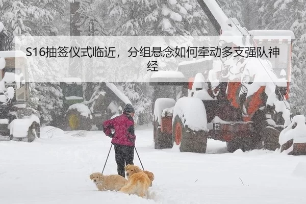 S16抽签仪式临近，分组悬念如何牵动多支强队神经